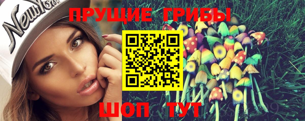 Псилоцибиновые грибы Psilocybine cubensis Гудермес